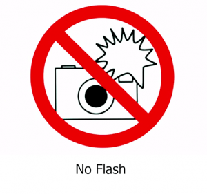 no flash